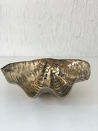 COQUILLAGE Vide Poche Bronze