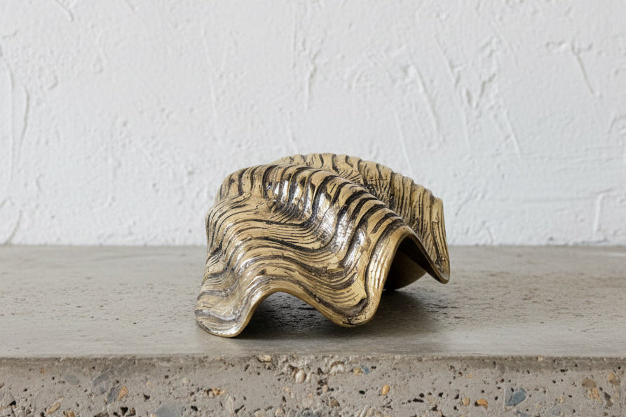 COQUILLAGE Vide Poche BRONZE V