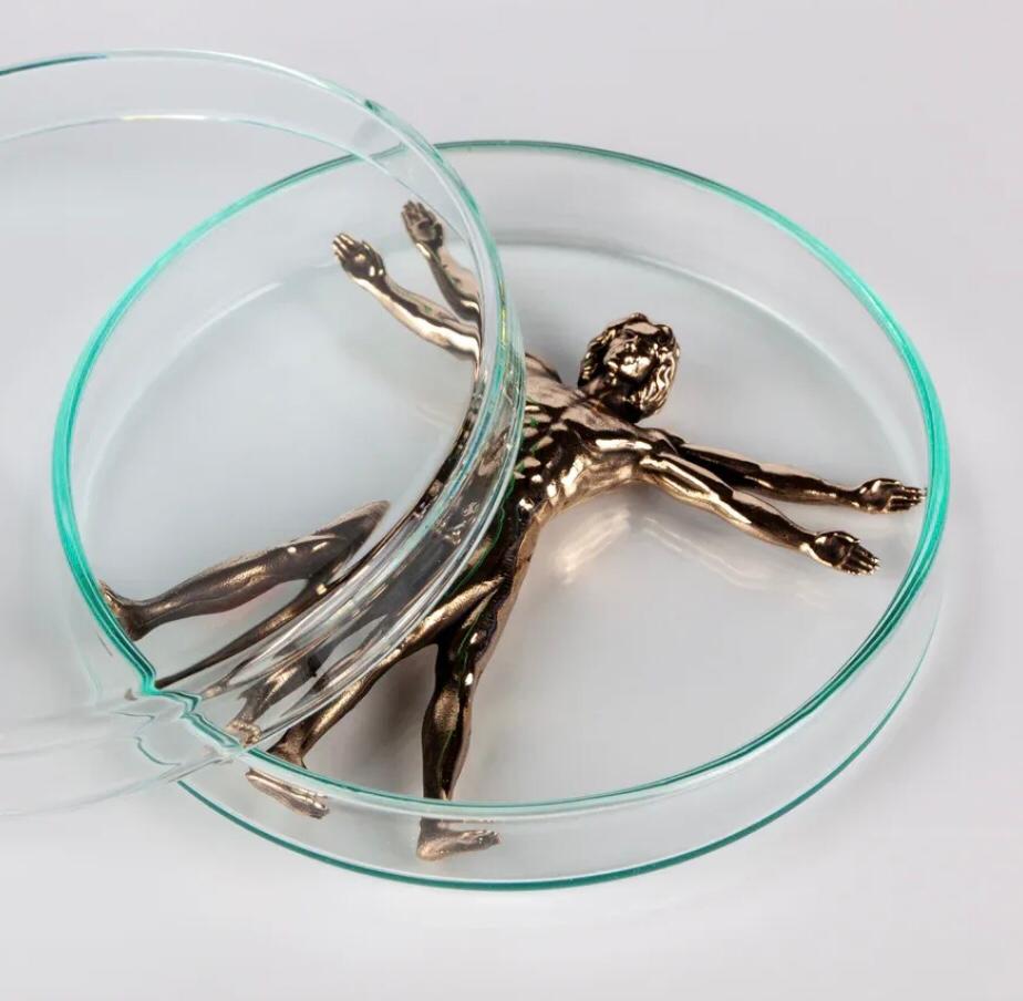 VITRUVIAN MAN BRONZE A11 V