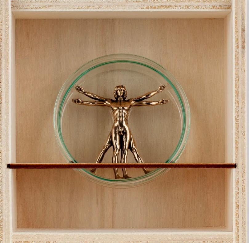 VITRUVIAN MAN BRONZE A11 V